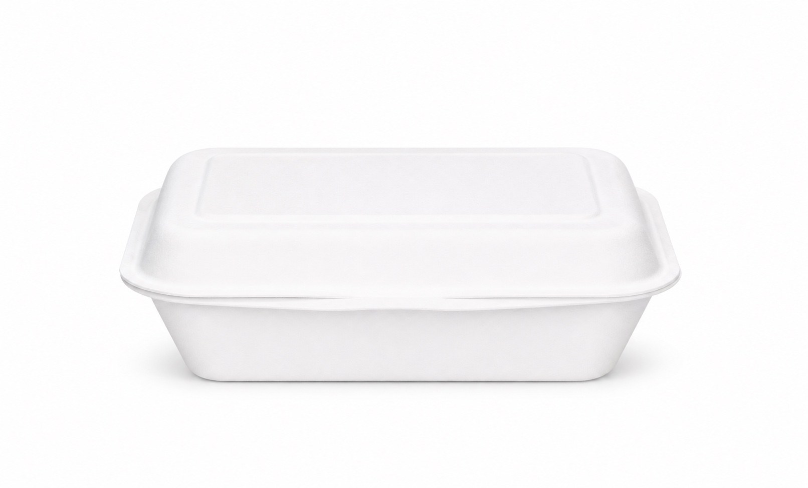 White bagasse clamshell lunch box 7 by 5 inches