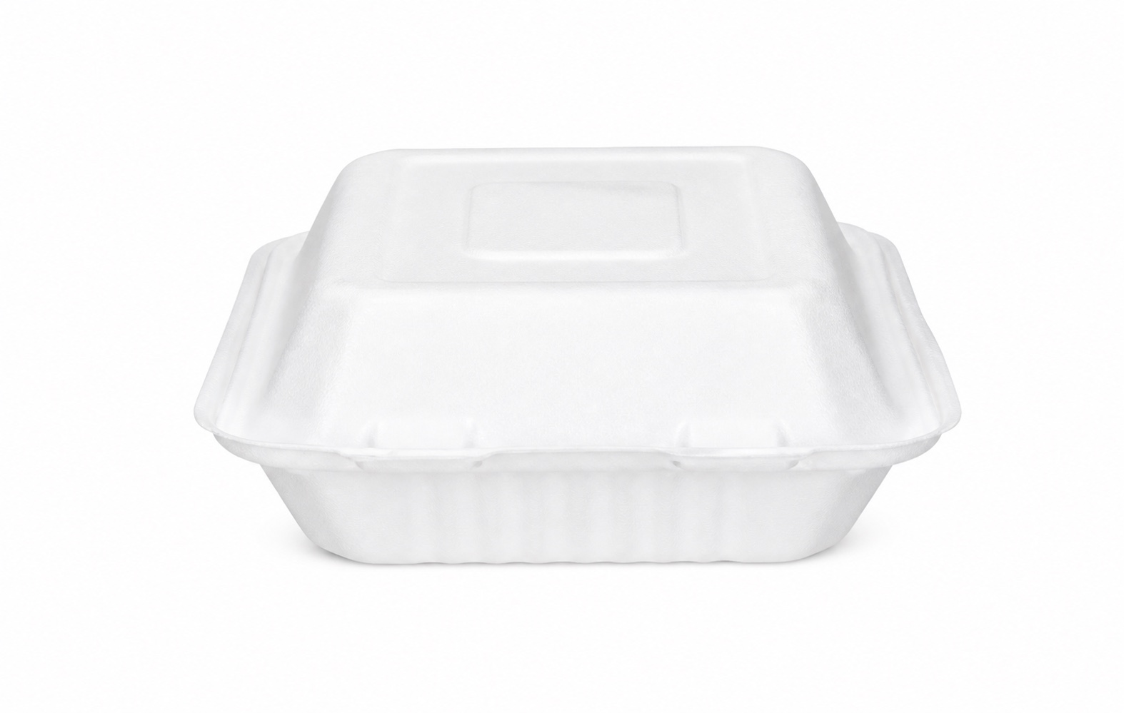 White bagasse square lunch box 8 inches